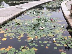 -白马涧龙池景区