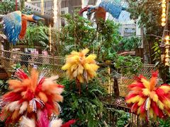 -正佳雨林生态植物园