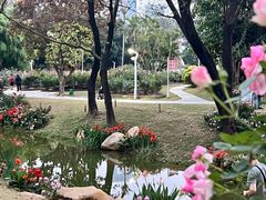 -人民公园(罗湖区)