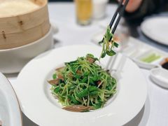 黑腐竹豆苗-北京厨房(西安SKP店)