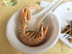 赖尿虾-沙田台山海鲜·酣客酒窖