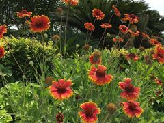 -上海滴水湖皇冠假日酒店