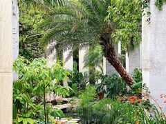 -深圳仙湖植物园