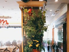 -新粤新疆菜清真餐厅(拱北店)