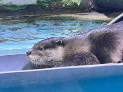 -正佳极地海洋世界