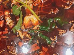 -老表牌·蛙蛙鸡冷锅鱼(成都东站店)