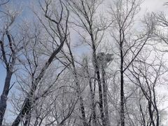 -中旅松花湖滑雪场