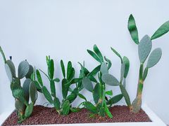 -花沐 FLOWER BATH(凤凰城店)