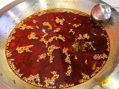 -懒猫鱼·稻田蛙·芋儿鸡火锅(成都东站店)