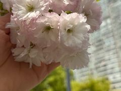 -霖公馆SPA·足道(普善路店)