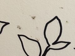 iphone_upload_pic-布丁严选酒店(杭州武林西湖文化广场地铁站店)