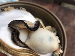 -阿家生蚝