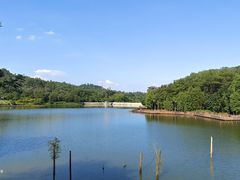 -番禺大夫山森林公园