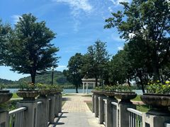 -西山漾湿地公园