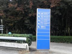 -南京奥林匹克体育中心-体育馆