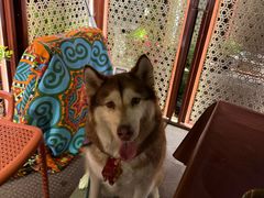 -那拉提之疆·新疆菜(美院店)