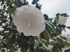 -草庵摩尼教遗址公园