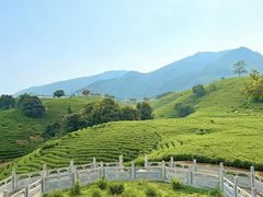 -帐篷客·溪龙茶谷度假酒店