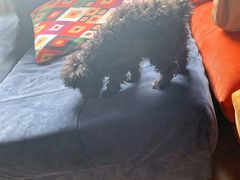 -天地無用GAME BAR