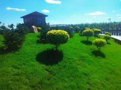 -呼兰河口湿地公园