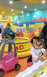 -宝贝渡口儿童游乐园(华南安盛店)