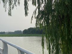 -大兴滨河森林公园