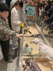 -造物庄园 萌宠纪(苏州湾歌林公园店)