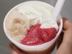 -Dip in Gelato(富民路店)