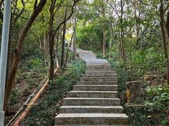 -小南山公园