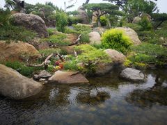 -罗红摄影艺术馆