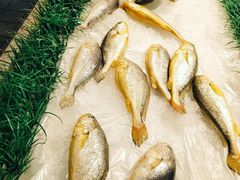 -三江购物(东裕店)