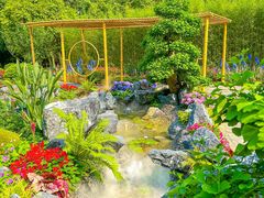 -深圳仙湖植物园