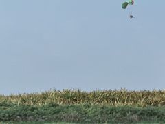 -白鹭湾湿地公园