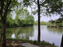 -溱湖国家湿地公园