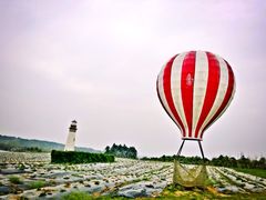 -紫颐香薰山谷景区