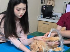 -美联众合爱康动物医院•复杂内科•肿瘤科•牙科•腔镜诊疗中心