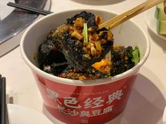 -黑色经典臭豆腐·湖南特产(潇湘文化店)
