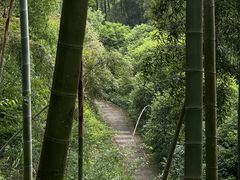 -东明山森林公园