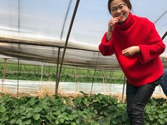 -小鱼草莓采摘园农家乐·小鱼餐厅