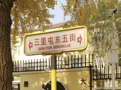 -三里屯东五街银杏大道