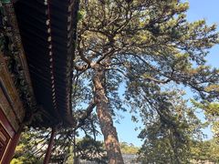 -潭柘寺景区