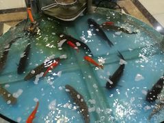 -屯靠屯地锅王(西南路店)