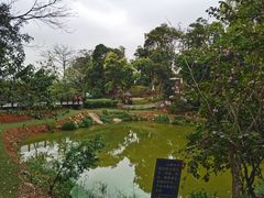 -天鹿湖森林公园