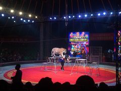 -环球城国际大马戏