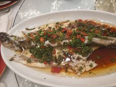 -曙亚洲餐厅-重庆富力艾美酒店(南坪万达广场店)