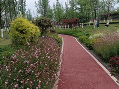 -府河摄影公园