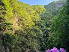 -太湖源风景区