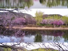 -国家植物园