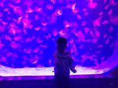 -沈阳海洋探索中心