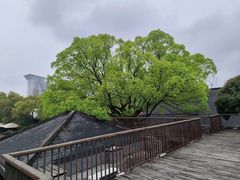 -隆荟•台州菜•粤菜